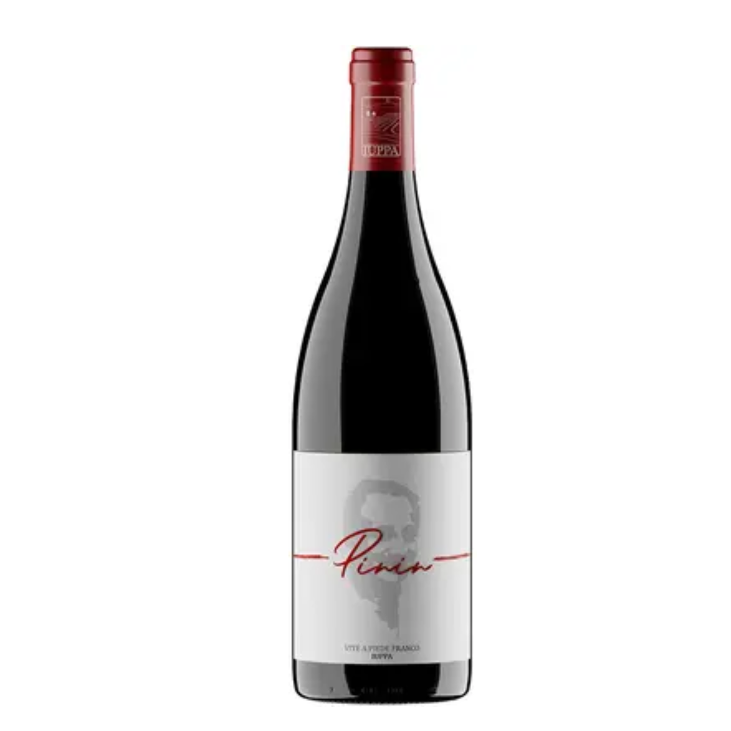 Cantine Iuppa 'Pinin' Etna IGT, Sicily, Italy 2021