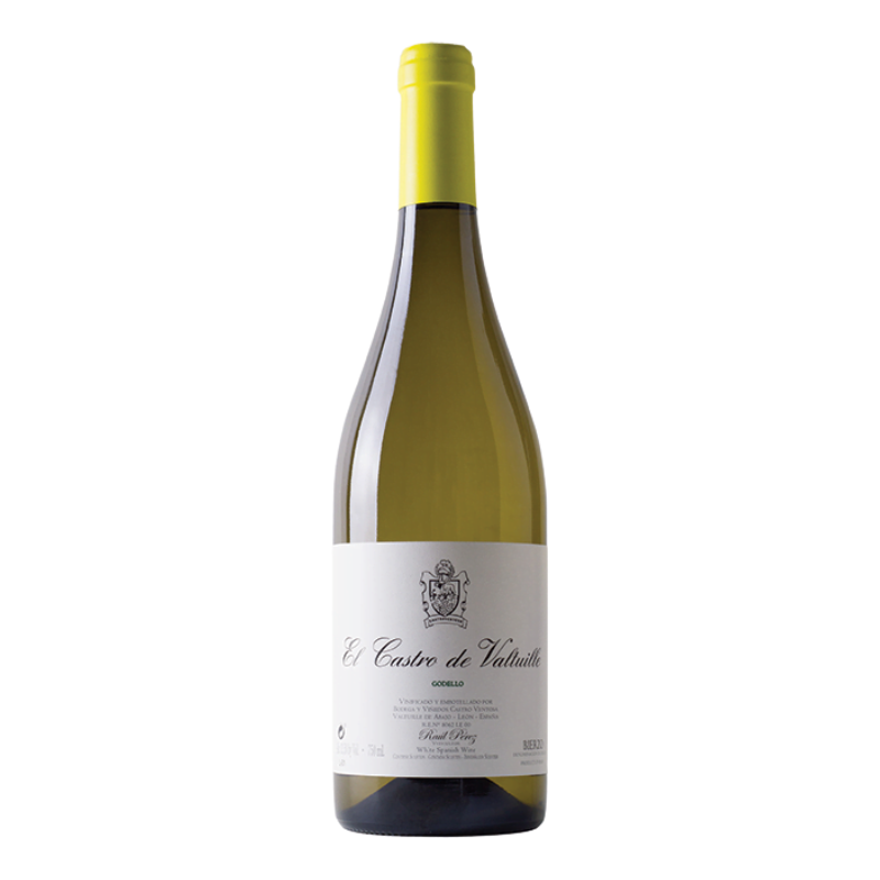 Castro Ventosa 'El Castro de Valtuille' Godello, Bierzo, Spain 2021