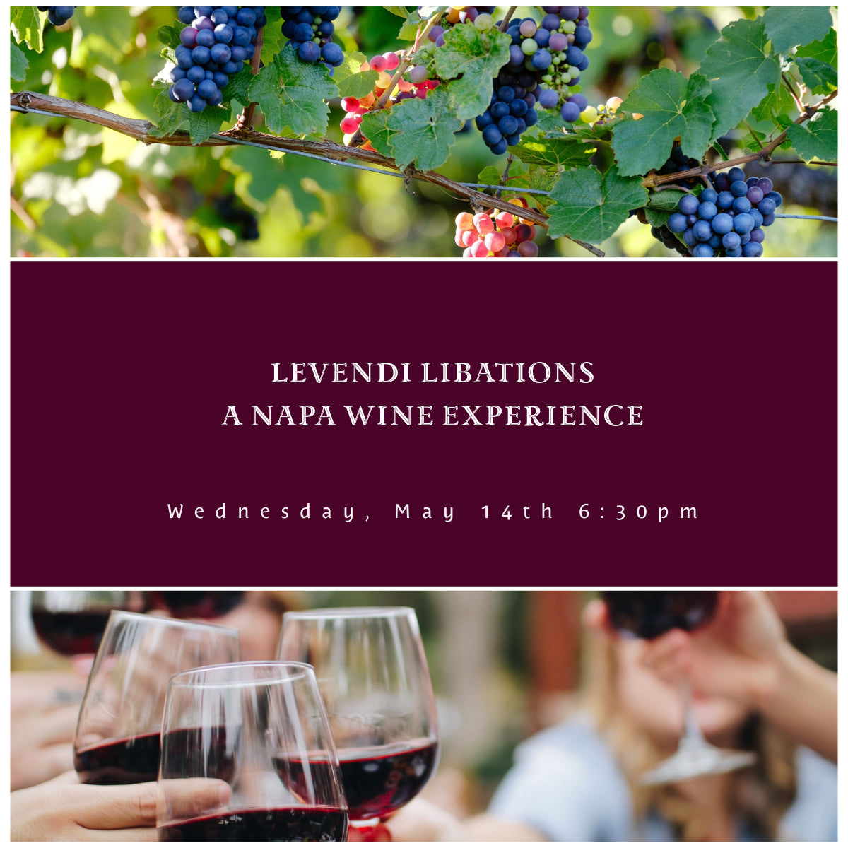 Levendi Libations: A Napa Wine Experience - Wednesday, May 14th 6:30pm