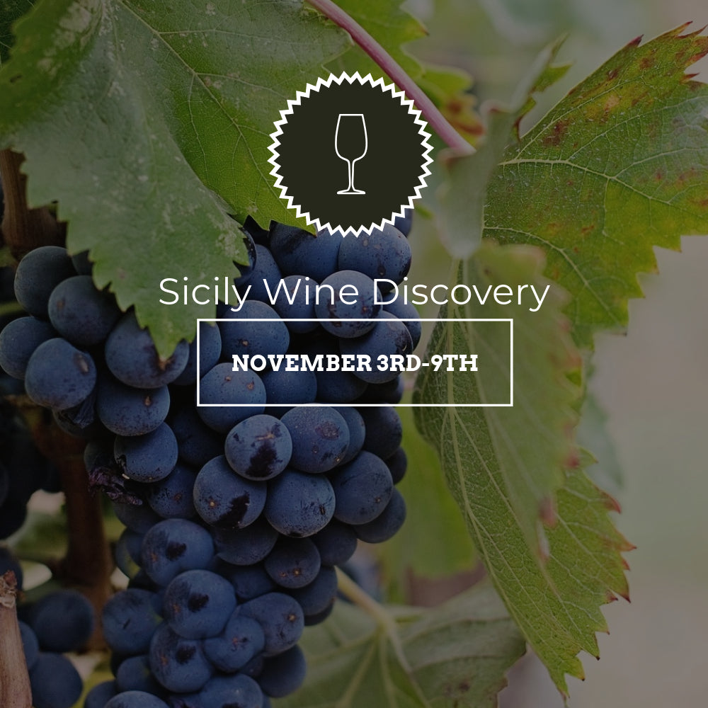 Sicily Wine Discovery